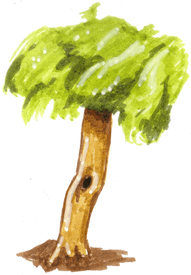 kritzelkratzel-living-tree.png