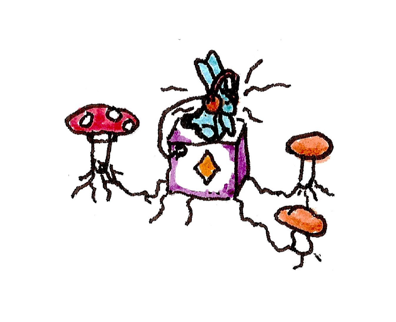programming-scheme-packaged.png