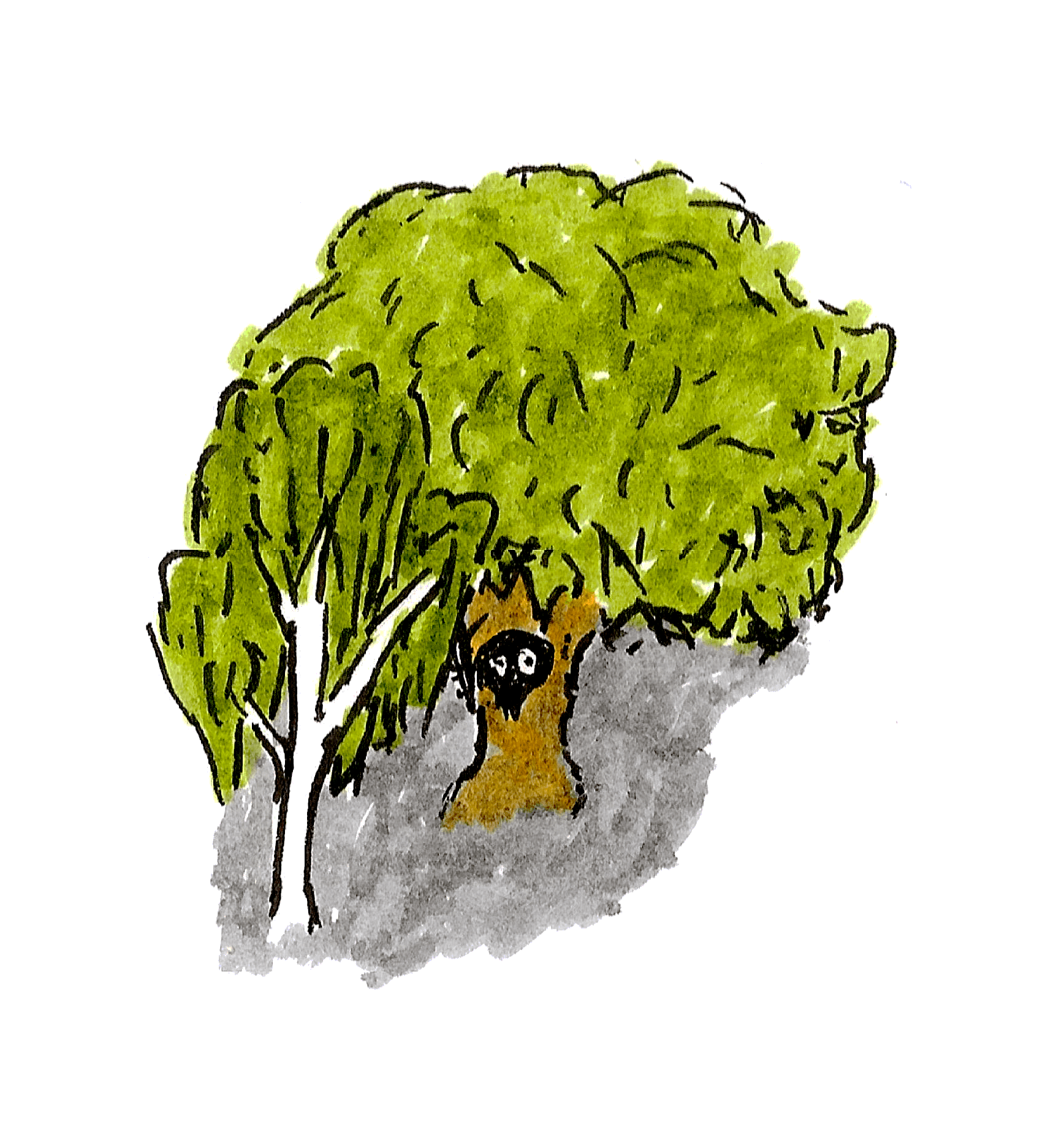 programming-scheme-trees.png